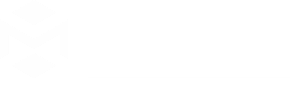 vn2-hero-logo.png